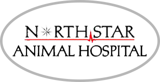 North Star Animal Hospital at Estrella, PLLC