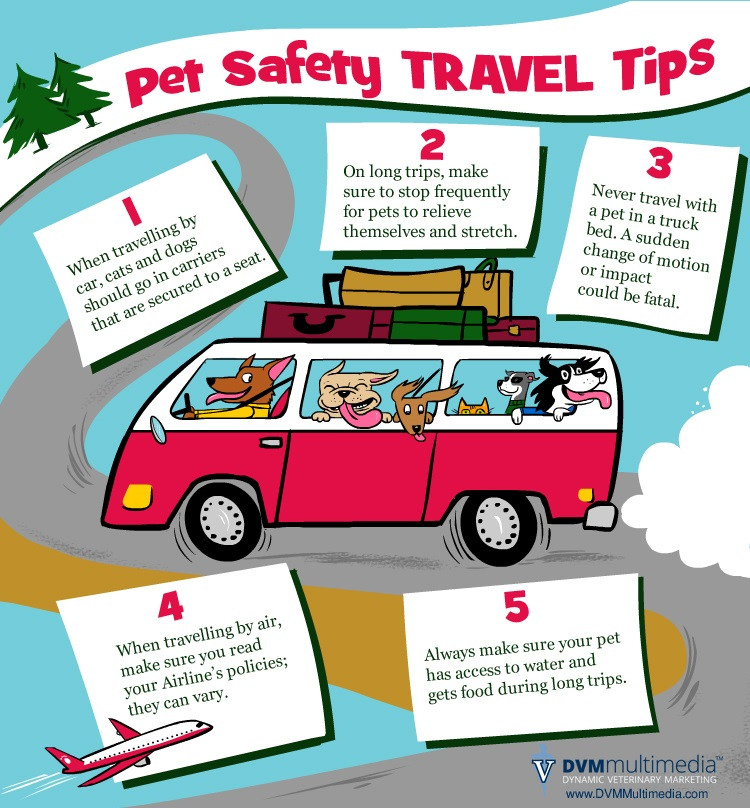 Pet Travel Safety